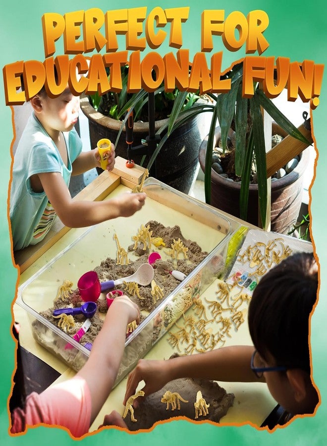 Mallexo مجموعة ماليكسو المصغرة من هياكل الديناصورات الأحفورية، 12 قطعة، ديناصورات تي-ريكس ما قبل التاريخ، ألعاب حيوانات للأطفال، أولاد وبنات، مجسمات صغيرة، عظام ديناصورات، ألعاب، هدية عيد ميلاد للأطفال، أدوات تعليمية وتزيينية. - Image 4